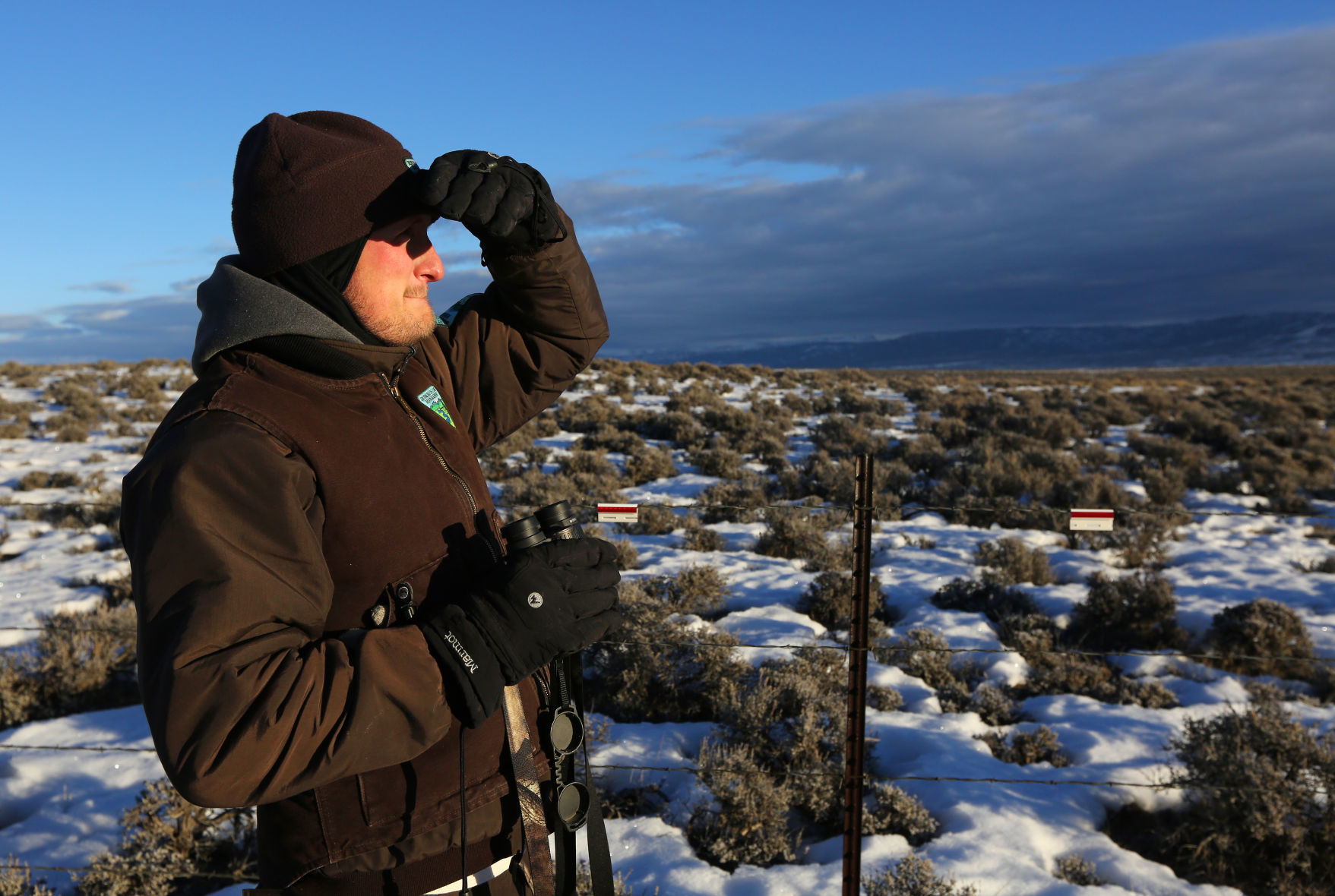 Sage Grouse Eat Dirt